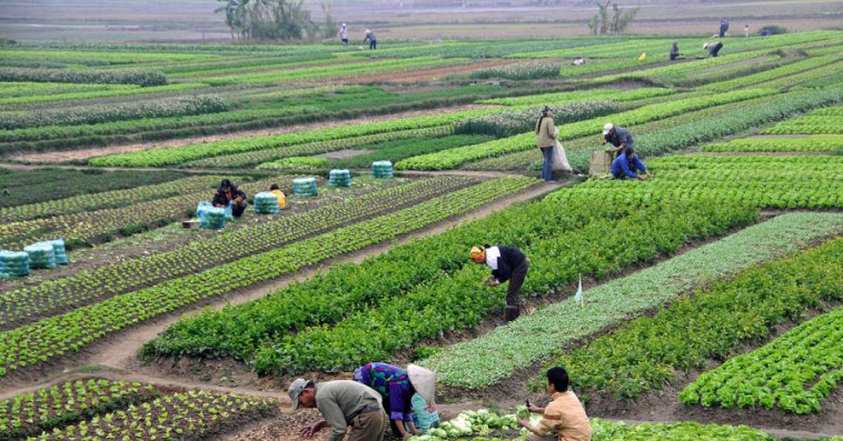 Génération Green : la persistance de la sécheresse fragilise l’emploi rural